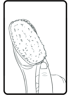 EASACE Body Brush for Back,Lotion Applicator, Long Handle Bath Brush for Showering, Adjustable Head Back Scrubber, Shower Brush with Soft Bristles for Wet or Dry : Beauty & Personal Care